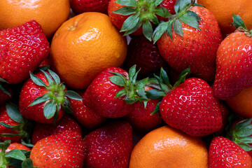 Fresh and intensely colored citrus fruits, clementines and strawberries that can be used as a...