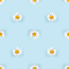 Seamless pattern with small daisy flowers with white petals on blue background