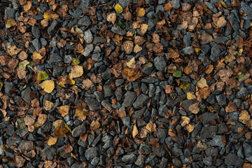 Crushed stones with yellow leaves