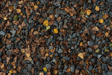 Crushed stones with yellow leaves