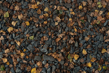 Crushed stones with yellow leaves