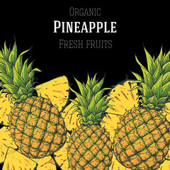 Pineapple hand drawn illustration. Vintage illustration. Packaging design template. Juicy pineapple