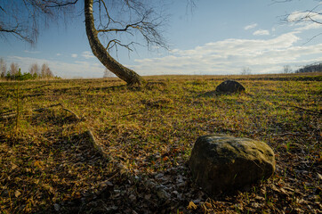 Дерево и камень в поле