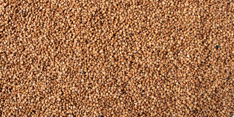 Fresh, dry buckwheat background. Buckwheat texture. Scattered buckwheat background. Close up buckwheat background. Healthy product. Vegetarian food. Top view.