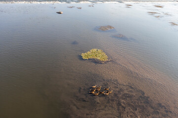 Maritsa River, passing through the town of Svilengrad, Haskovo Region, Bulgaria
