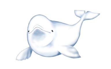 illustration of cute beluga 