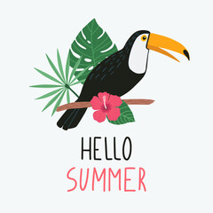 Toucan bird with exotic tropical leaves and flowers. Hello summer lettering. Vector illustration