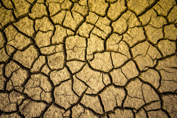 cracked earth brown texture