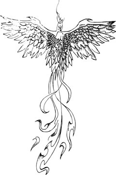 Araba fenice tatuaggio