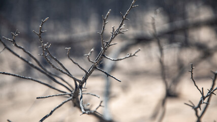 Refugiarse al aire libre