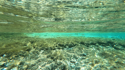 Fototapeta na wymiar Underwater photo of tropical exotic island sea bed in calm emerald beach