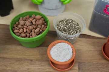 Houseplants, green eco urban trends. Close-up care of indoor plants