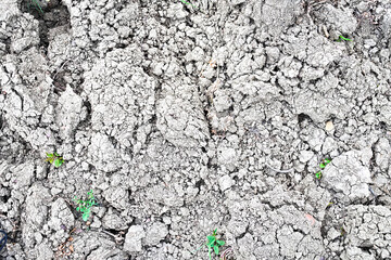 split country land, country life, tillage, background, texture

