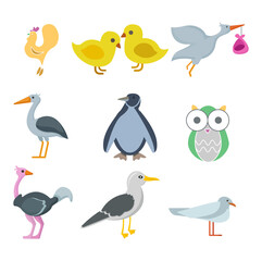 bird icon set with penguin, owl, ostrich, stork, cock pigeons vector flat icon