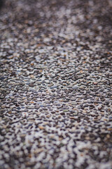 the texture of the rocky road, small stones on the asvalt sidewalk for pedestrians