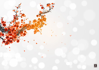 Obraz na płótnie Canvas Oriental cherry blossom branch and falling sakura petals. Traditional oriental ink painting sumi-e, u-sin, go-hua on white glowing background. Translation of hieroglyph - beauty