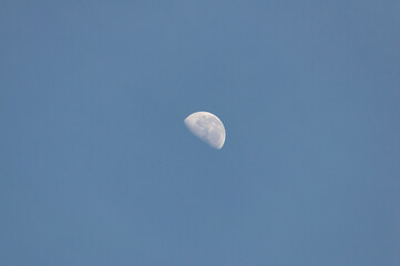 moon in the sky