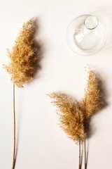 Dry grass and transparent vase on a light background. Copy space. Minimal, styled concept for bloggers. © lisannart