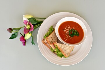 Tasty comfort meal soup and sandwich for cool blustery spring day. Food background, photo concept, healthy lifestyle eating. 