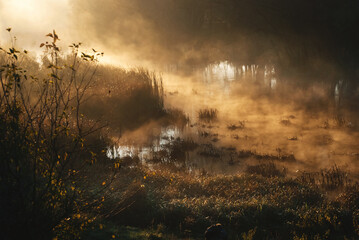Mist and fog over the river, early morning, sun beams, sun rays on the water, mystery in the nature, morning magic.