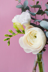 Delicate bouquet of delicate pink ranunculus flower and white freesia with eucalyptus sprigs on a pink background