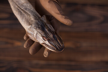Smoked pike on a wooden background in hands. Smoked pike. Snacks. 