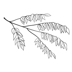 Tree branch outline floral sketch isolated vector