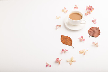 Composition with brown beech autumn leaves, hydrangea flowers and cup of coffee. mockup on white background. side view, copy space.