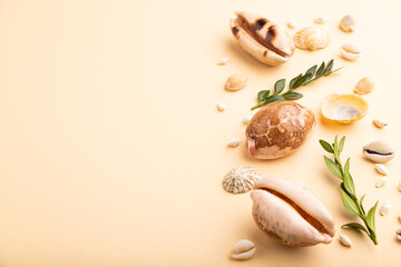 Composition of seashells, green boxwood branch. mockup on orange background. side view, copy space.
