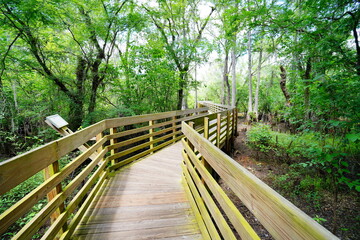 The landscape of Hillsborough river and Lettuce park at Tampa, Florida	
