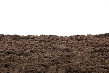 Fotobehang Soil texture backgeound for graphic design © nuttapongg