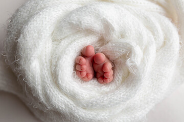 legs of a newborn baby in a white blanket. newborn