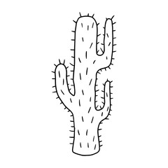 Cartoon doodle cactus isolated on white background. Cute cartoon floral element.