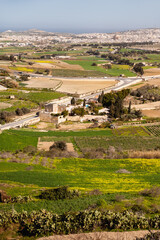 Fototapeta na wymiar Aerial view on grounds around Mdina, old capital of Malta island. Panorama of agricultural fields. Cityscape.and urban roads.