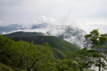 山から見る雲海