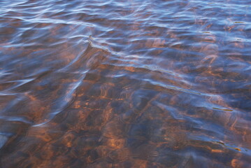 The surface of clear water with small waves. A close-up of a clear river water with a brown bottom from the sand. The reflections of the sun's rays paint the bottom of the river in golden tones.
