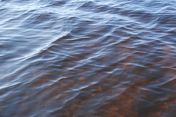The surface of clear water with small waves. A close-up of a clear river water with a brown bottom from the sand. The reflections of the sun's rays paint the bottom of the river in golden tones.