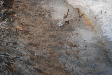 A deep puddle in the snow with melted water. A wide and deep puddle formed in the snow. Drops of water drip into the puddle, creating waves on its surface. Last year's grass can be seen at the bottom 