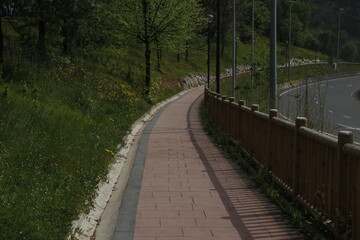 Path in the park