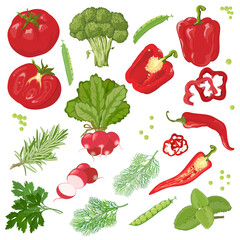 Hand drawn vegetables