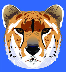 Cheetah portrait, fas, vector image, predator, big cat 