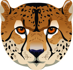 Cheetah portrait, fas, vector image, predator, big cat 