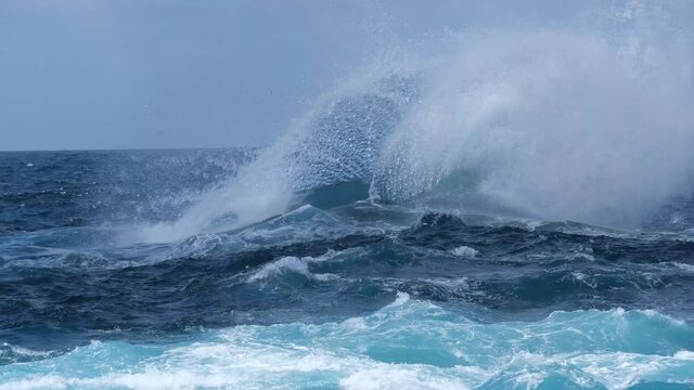 beautiful wave breaking on the shore