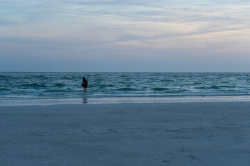 Fototapeta na wymiar Florida-Beach