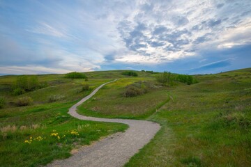 Fototapeta na wymiar Spring landscape in nosehill park, Calgary, Alberta, Canada