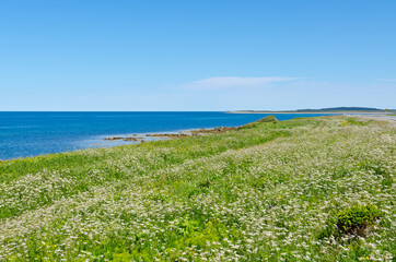 Gros Morne National Park