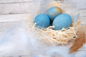 colored easter eggs with colored feathers on wooden background. Minimal easter concept. Easter card with copy space for text.  top view