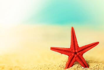 Fototapeta na wymiar starfish on the beach sand. Summer time. Summer holiday vacation at sea.