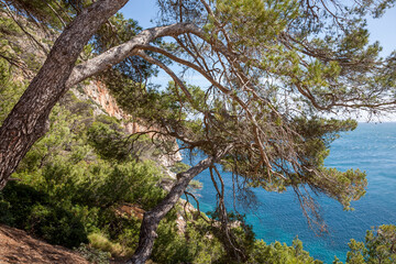 Küstenlandschaft im Osten von  Mallorca