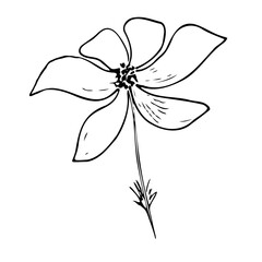 Flower and leaves in black isolated on white background.